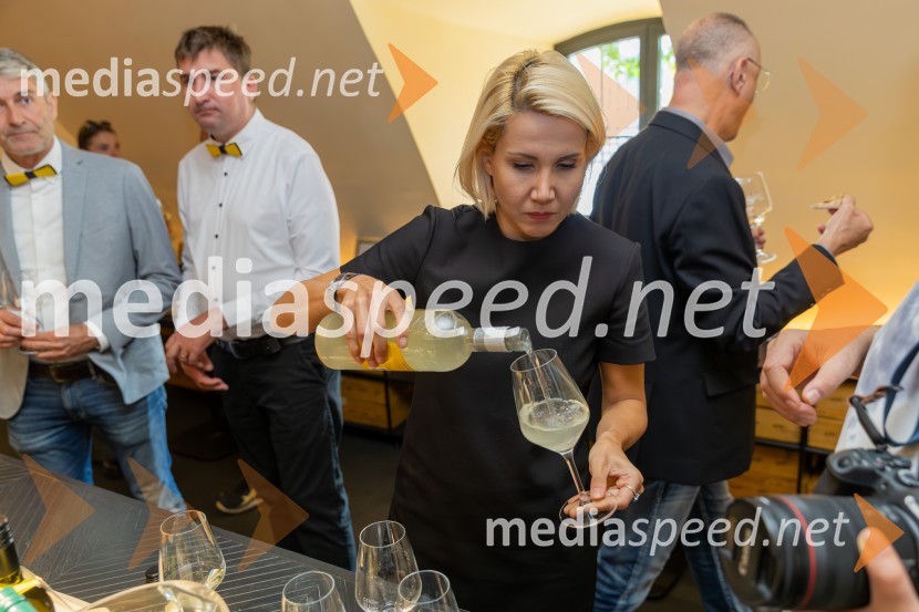  Robert Hafner, Vinarstvo Hafner;  Sandi  Fleisinger, Kmetija Fleisinger;  Natalija Cvetko, Mediaspeed d.o.o.PRIHAJA PUBEC 2025: 11 let povezovanja štajerskih vinarjev – 10. salon v Mariboru, 8. v Ljubljani