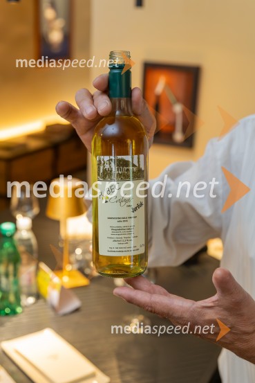 PRIHAJA PUBEC 2025: 11 let povezovanja štajerskih vinarjev – 10. salon v Mariboru, 8. v Ljubljani