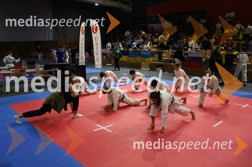 Evropsko prvenstvo za mlade karateistke in karateiste