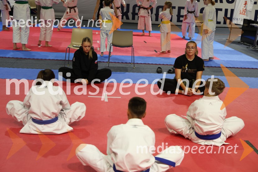 Evropsko prvenstvo za mlade karateistke in karateiste