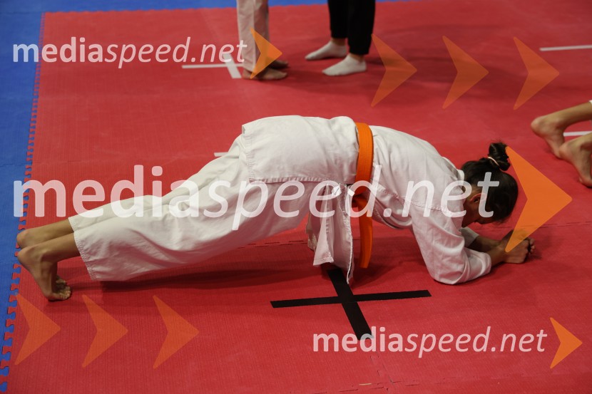 Evropsko prvenstvo za mlade karateistke in karateiste