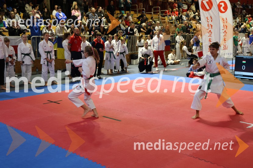 Evropsko prvenstvo za mlade karateistke in karateiste