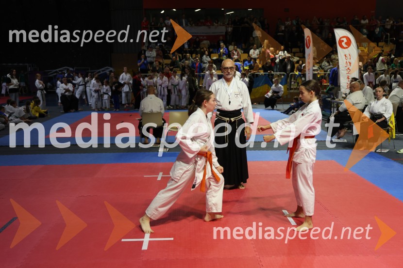 Evropsko prvenstvo za mlade karateistke in karateiste