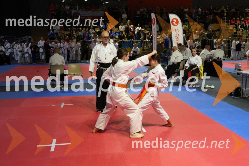 Evropsko prvenstvo za mlade karateistke in karateiste