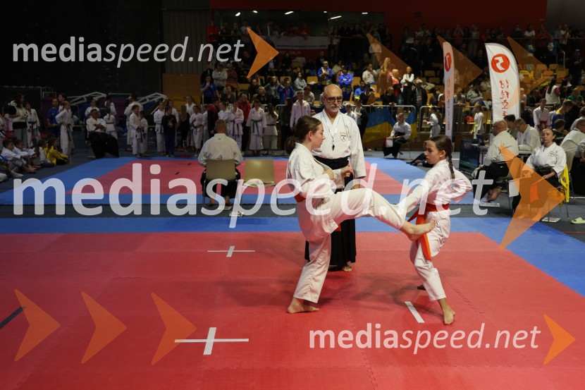 Evropsko prvenstvo za mlade karateistke in karateiste