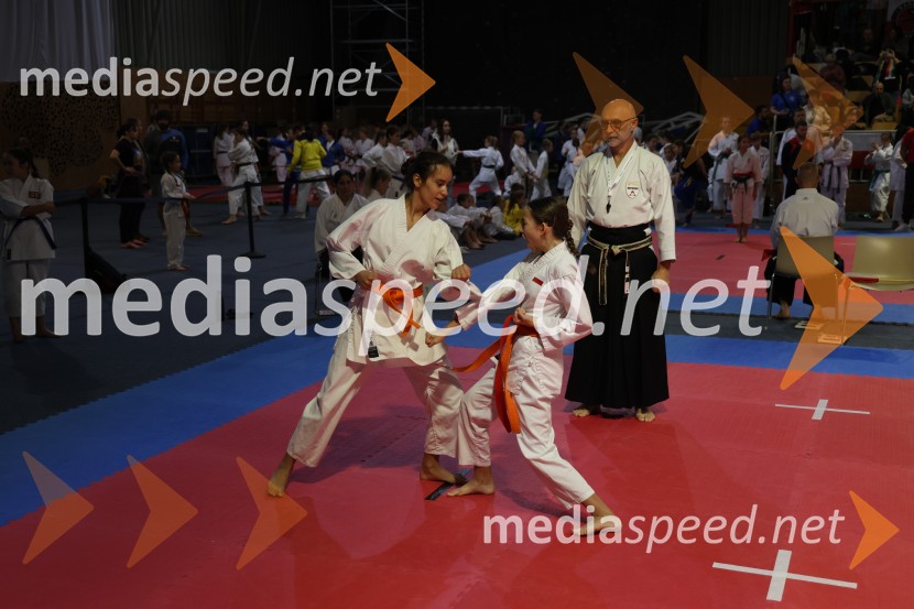 Evropsko prvenstvo za mlade karateistke in karateiste