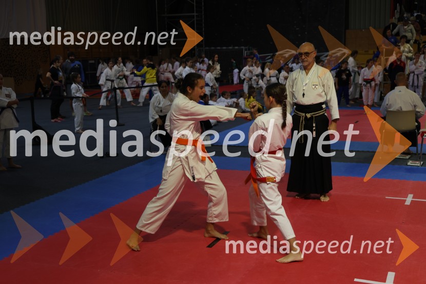 Evropsko prvenstvo za mlade karateistke in karateiste