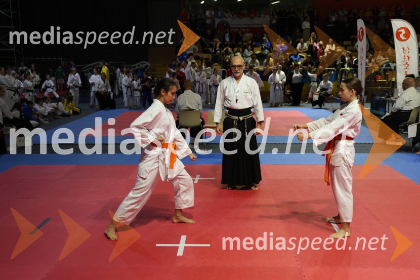 Evropsko prvenstvo za mlade karateistke in karateiste