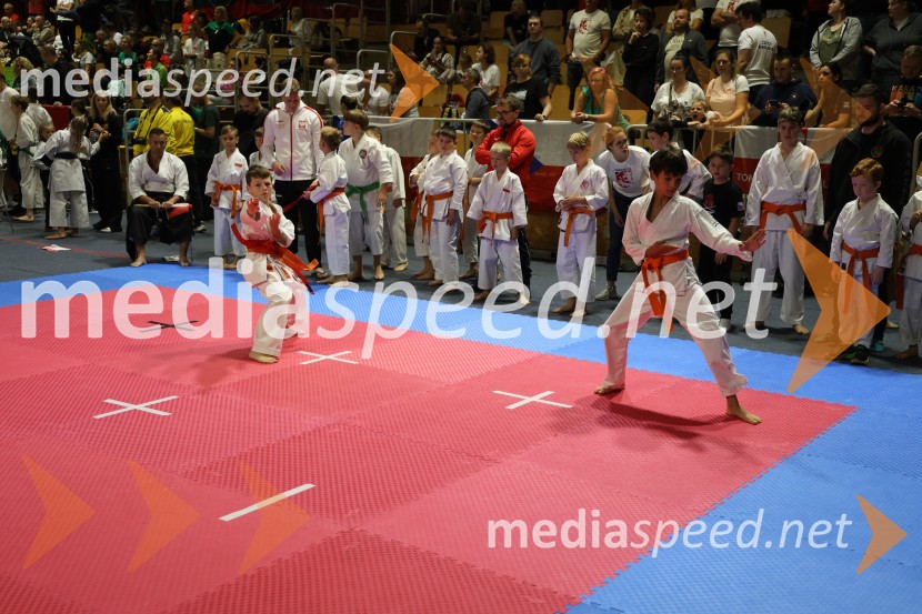 Evropsko prvenstvo za mlade karateistke in karateiste