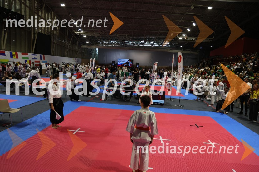 Evropsko prvenstvo za mlade karateistke in karateiste