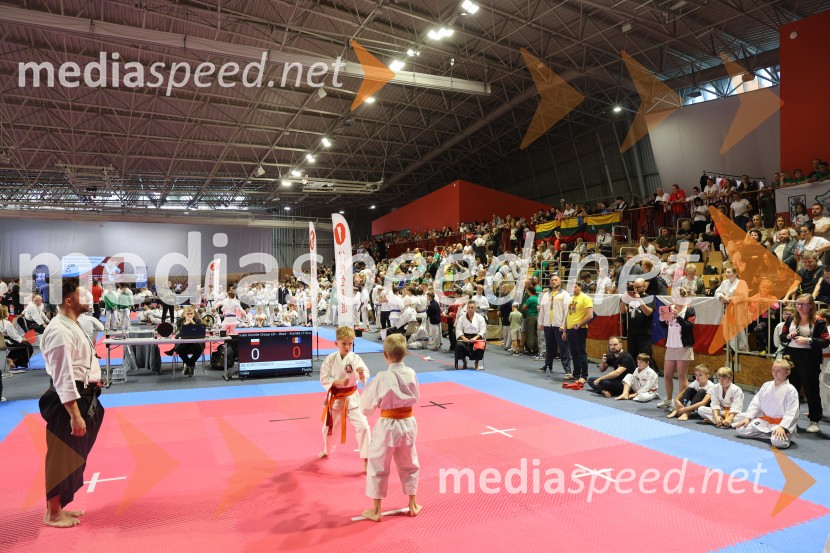 Evropsko prvenstvo za mlade karateistke in karateiste