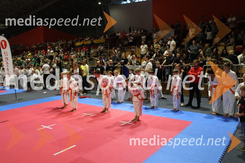 Evropsko prvenstvo za mlade karateistke in karateiste