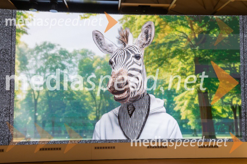 Dajmo se videt, novinarska konferenca