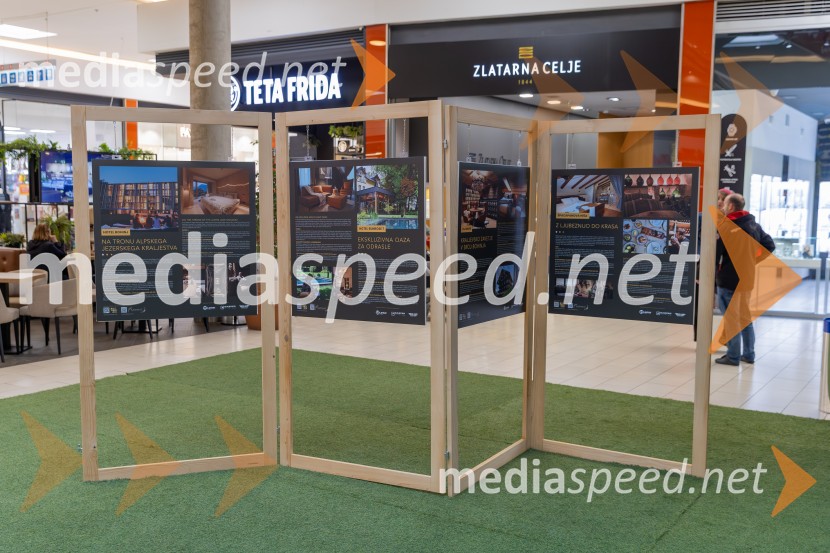 V Citycentru Celje odprli razstavo »Bivanje z lesom – SLOWOODLIFE«: slovenske zgodbe trajnostne gradnje in dizajna