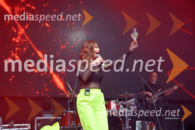  Natalija Verboten, pevkaDomen Kumer z največjo slovensko čago proslavil 20 let kariere