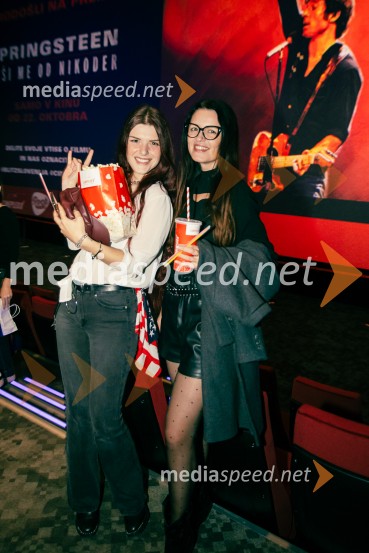  Anja Rijavec;  ... Springsteen: Reši me od nikoder, film o resnici, pogumu in glasbi