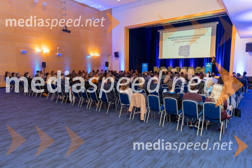 Povežimo se v znanju, Univerza v Mariboru