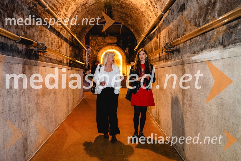 TIKO PRO, 15 let podjetja