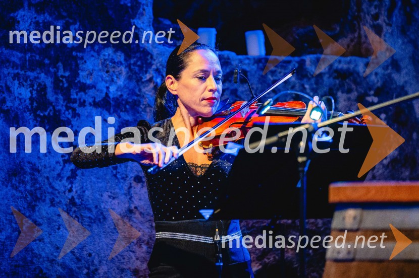 TIKO PRO, 15 let podjetja