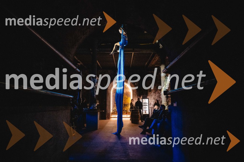 TIKO PRO, 15 let podjetja