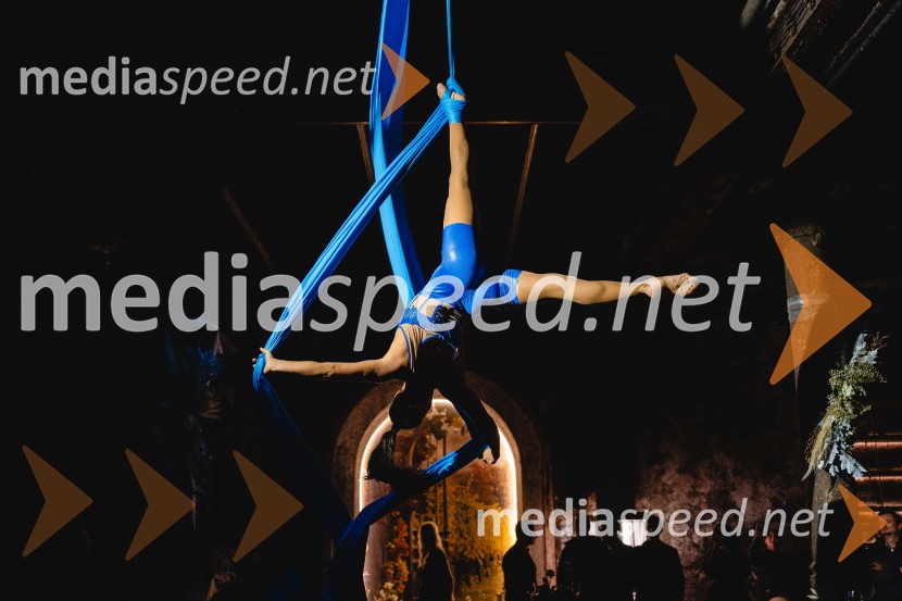 TIKO PRO, 15 let podjetja