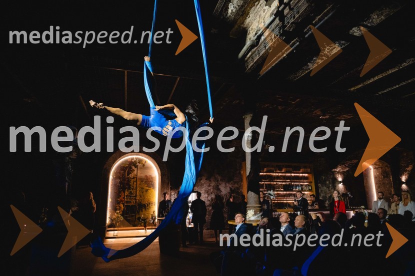 TIKO PRO, 15 let podjetja