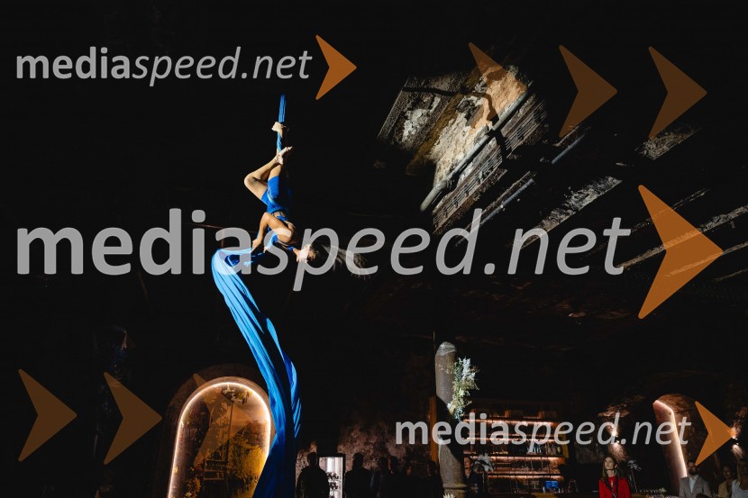 TIKO PRO, 15 let podjetja