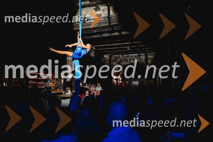 TIKO PRO, 15 let podjetja