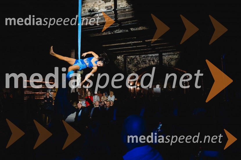 TIKO PRO, 15 let podjetja