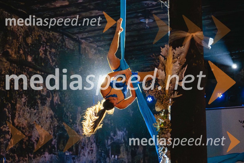 TIKO PRO, 15 let podjetja