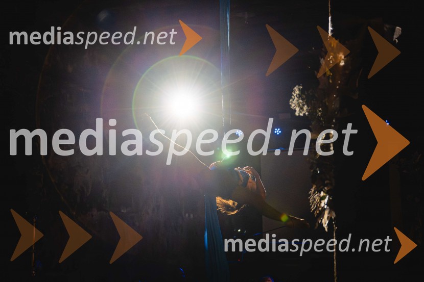 TIKO PRO, 15 let podjetja