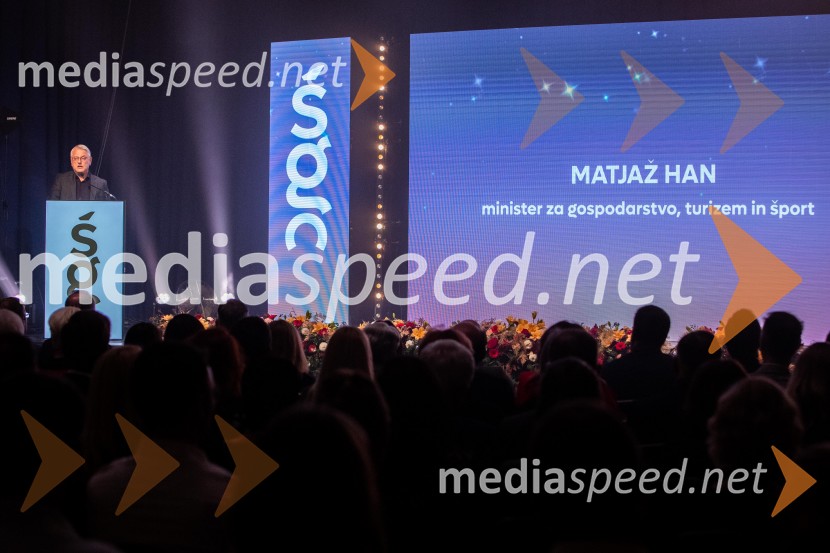 Štajerska gospodarska odličnost 2025