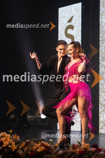 Štajerska gospodarska odličnost 2025