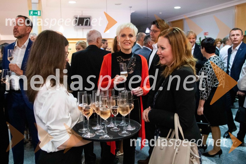 Štajerska gospodarska odličnost 2025