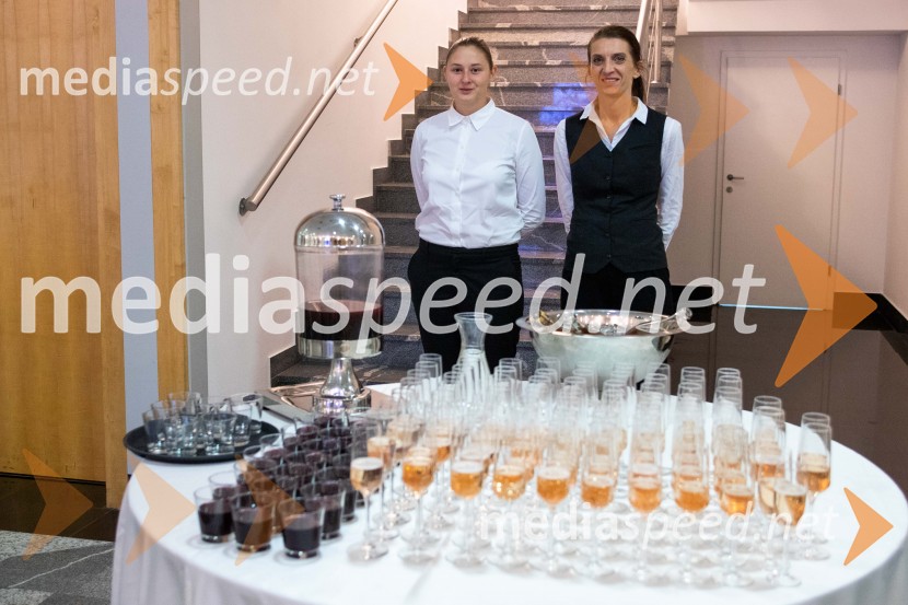 Štajerska gospodarska odličnost 2025