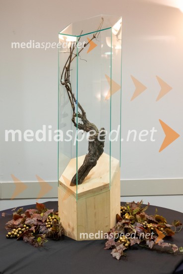 Štajerska gospodarska odličnost 2025