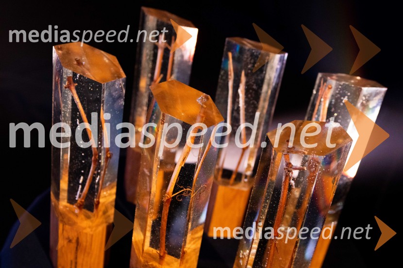 Štajerska gospodarska odličnost 2025