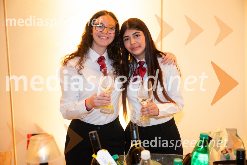 10. Salon štajerskih mladih vin Pubec v Mariboru