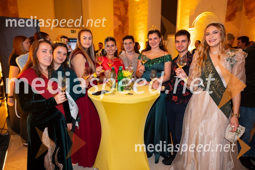  ... ;  Ivana Vršič, 8. Cerkvenjaška vinska kraljica;  Brina Nely Belna, 21. svečinska kraljica;  Natalija Ploj, Mariborska vinska kraljica 2025;  ... ;  Nina  Polanec, 28. Vinska kraljica Slovenije 2025;  ... ;  Sandra Kumer, 6.vinska kraljica Jeruzalemsko ormoških goric10. Salon štajerskih mladih vin Pubec v Mariboru