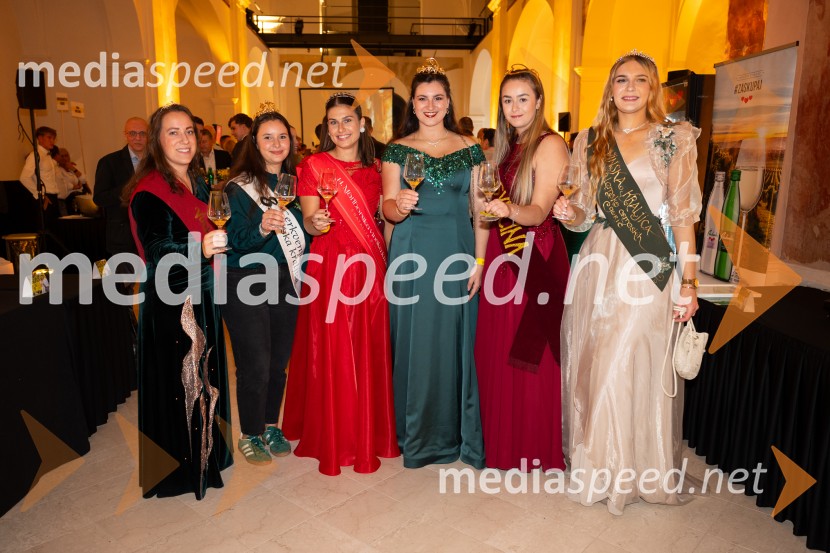  ... ;  Ivana Vršič, 8. Cerkvenjaška vinska kraljica;  Natalija Ploj, Mariborska vinska kraljica 2025;  Nina  Polanec, 28. Vinska kraljica Slovenije 2025;  Brina Nely Belna, 21. svečinska kraljica;  Sandra Kumer, 6.vinska kraljica Jeruzalemsko ormoških goric10. Salon štajerskih mladih vin Pubec v Mariboru