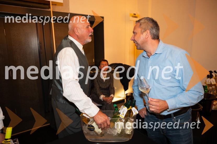 10. Salon štajerskih mladih vin Pubec v Mariboru