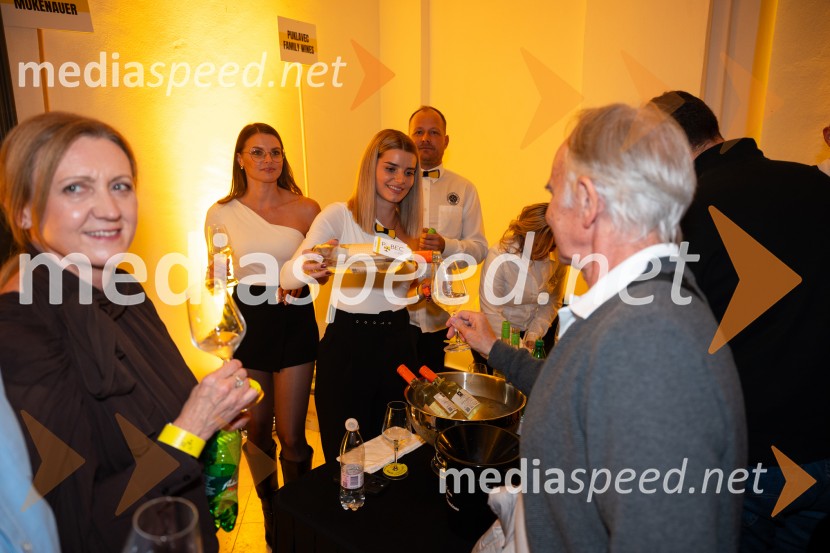  Vida Tement, vinoteka LeVino;  Lucija Mukenauer, 19. svečinska vinska kraljica, vino Mukenauer;  Maruša Mukenauer, Mariborska vinska kraljica 2023;  ... 10. Salon štajerskih mladih vin Pubec v Mariboru