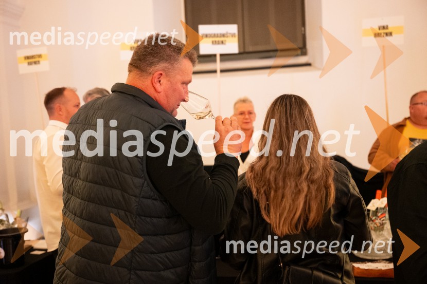 10. Salon štajerskih mladih vin Pubec v Mariboru