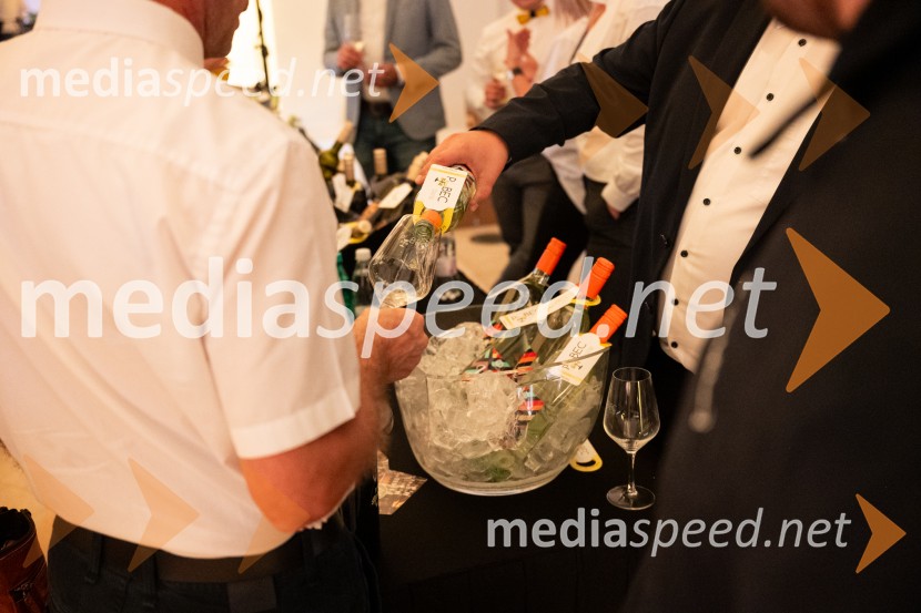 10. Salon štajerskih mladih vin Pubec v Mariboru