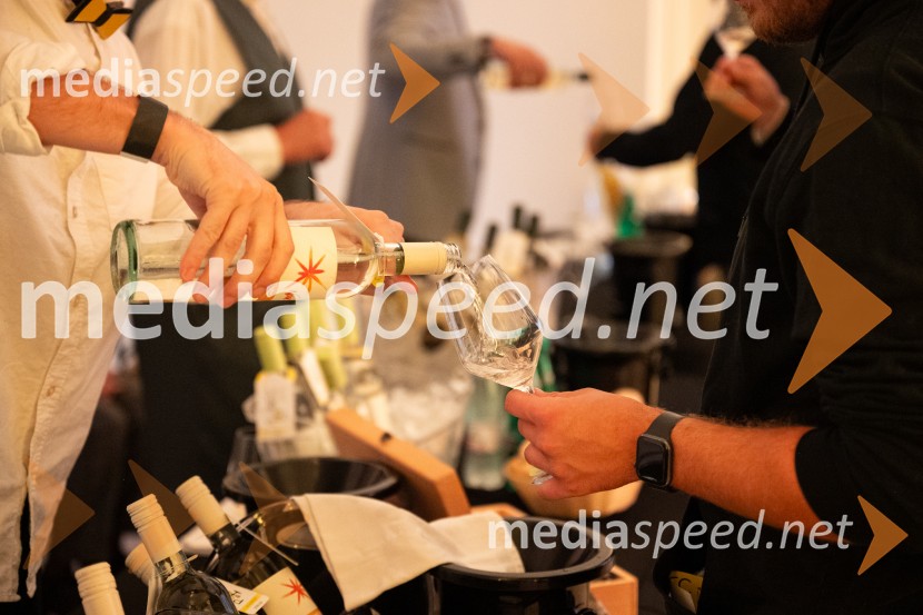 10. Salon štajerskih mladih vin Pubec v Mariboru