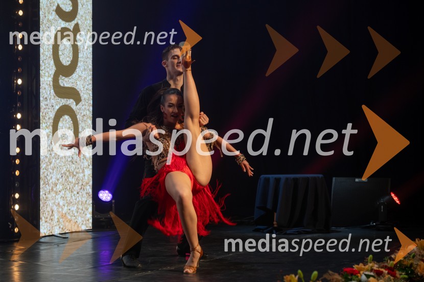 Štajerska gospodarska odličnost 2025