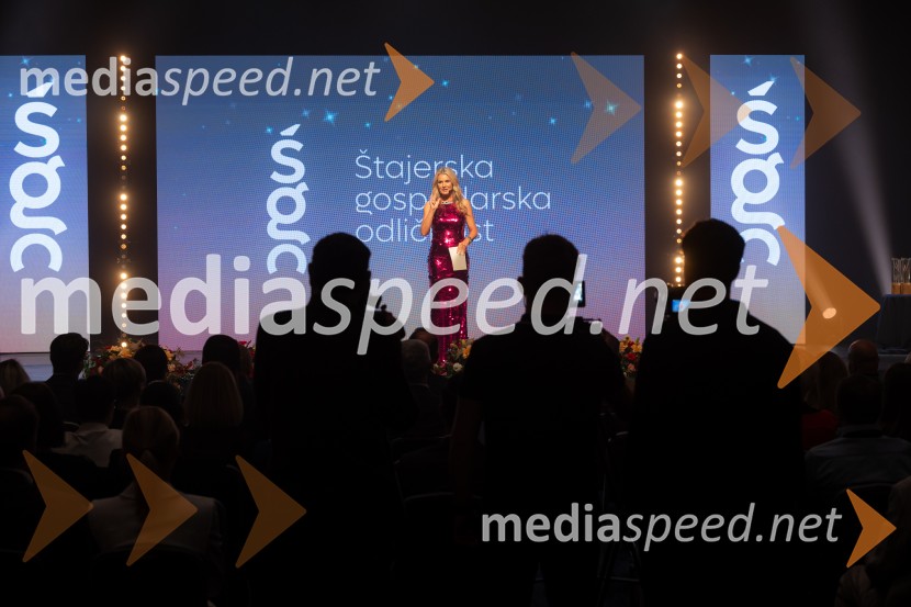 Štajerska gospodarska odličnost 2025