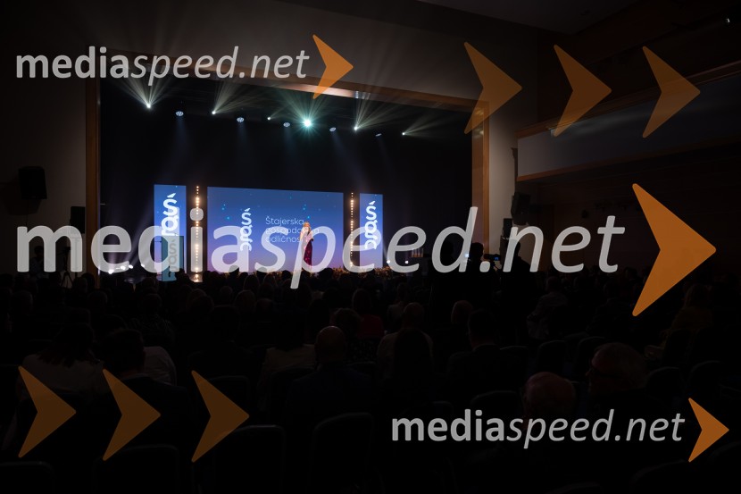 Štajerska gospodarska odličnost 2025