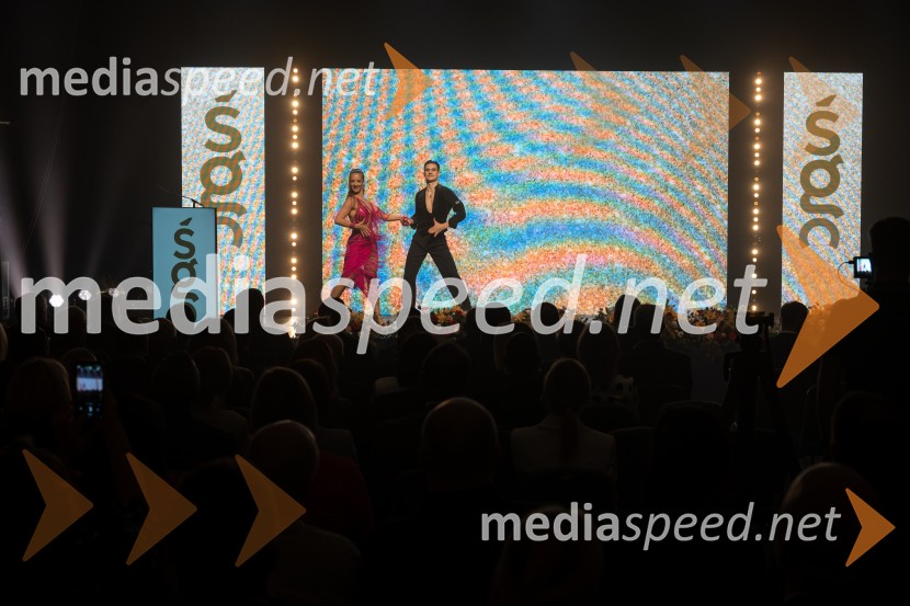 Štajerska gospodarska odličnost 2025