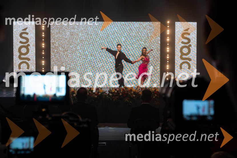 Štajerska gospodarska odličnost 2025